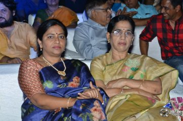 Naa Peru Surya Naa Illu India Pre Release Event Photos